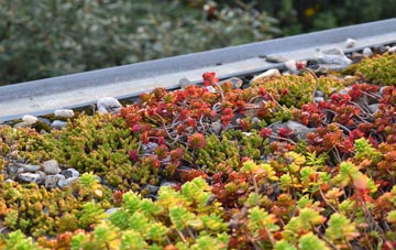the cost of Armthorpe green roof installation