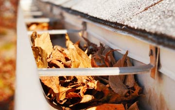 Armthorpe gutter cleaning companies