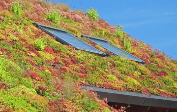 Armthorpe living roof systems